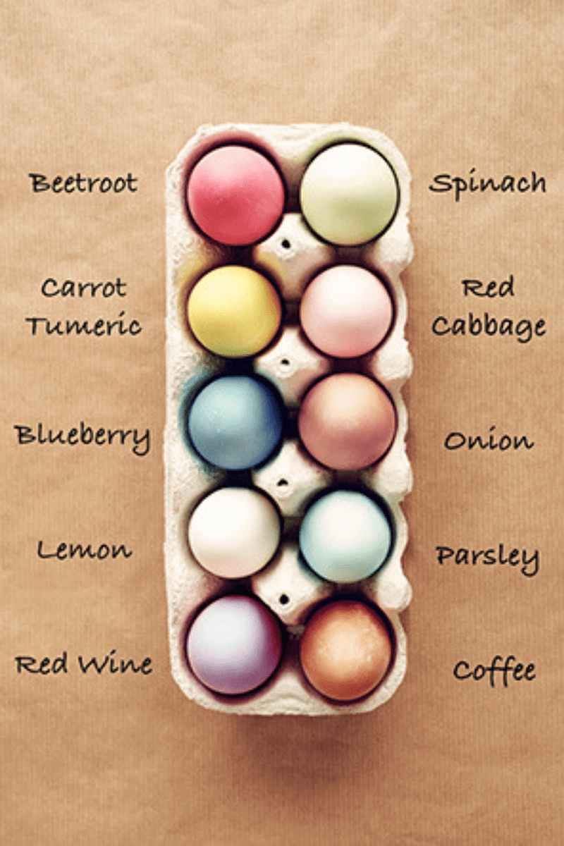 Can Plastic Eggs Be Recycled? Exploring The Potential Environmental