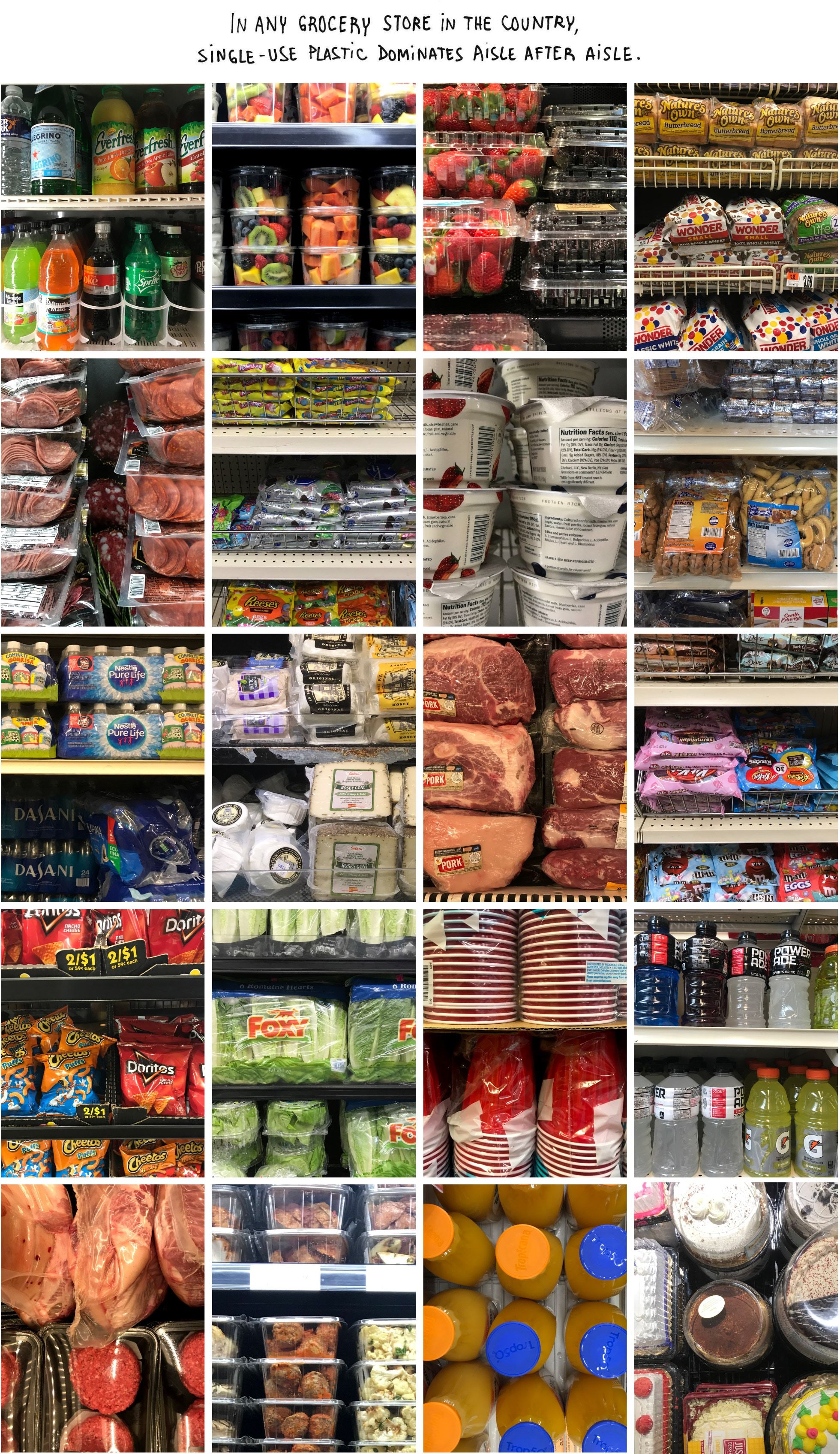 Get Paid For Recycling Plastic Bottles Rewards And Incentives For