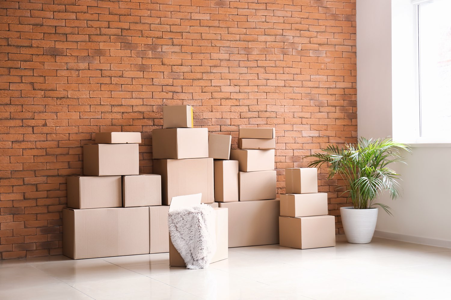 The Benefits Of Recycling Plastic In Chicago Climate Of Our Future