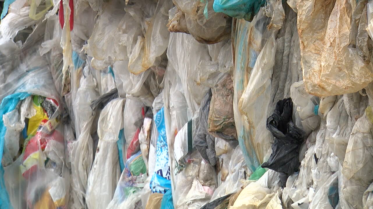 Shifting To Recycling Plastic Bags Simple Steps To Make A Positive