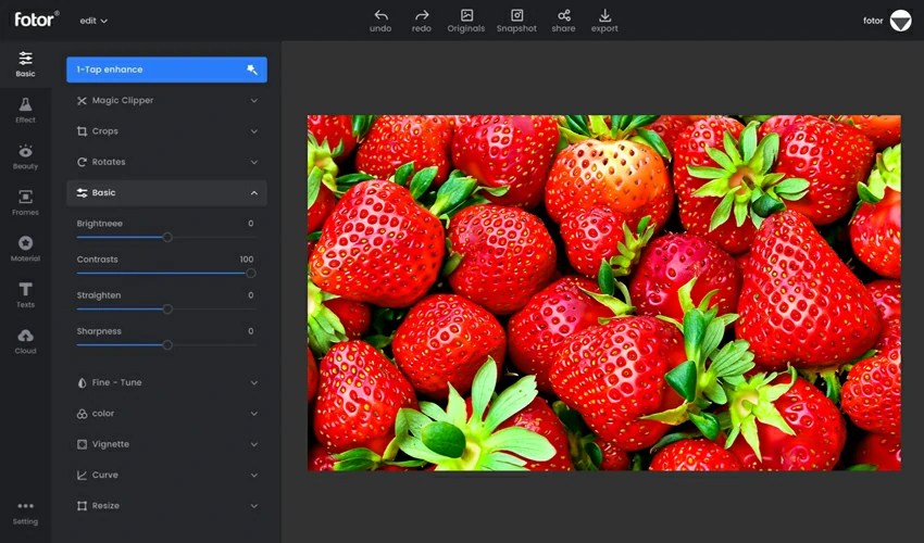 Best Photo Editing Software for Windows & Mac