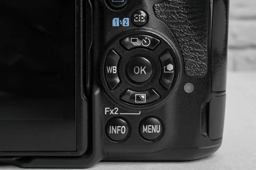 Best Camera Settings For Wildlife Photography