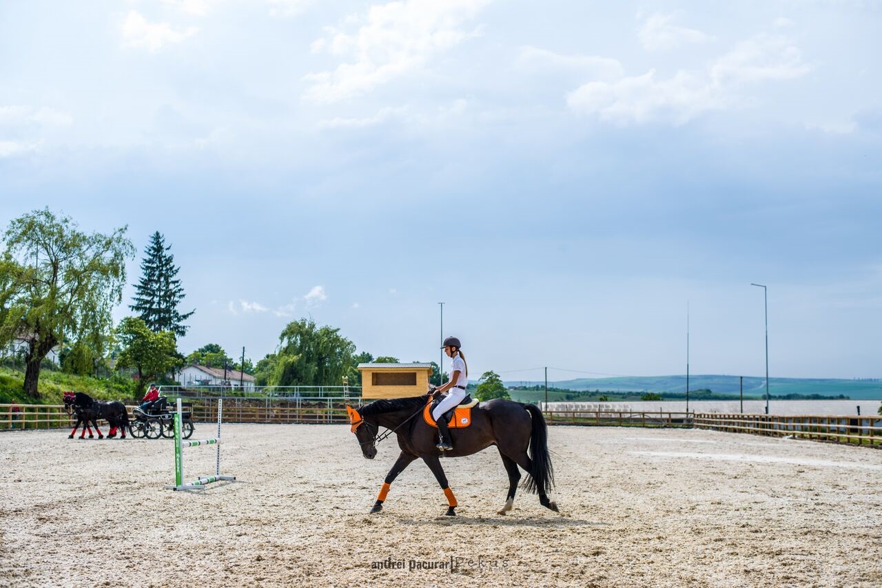Competiția Internațională Salina Equines Horse Trophy