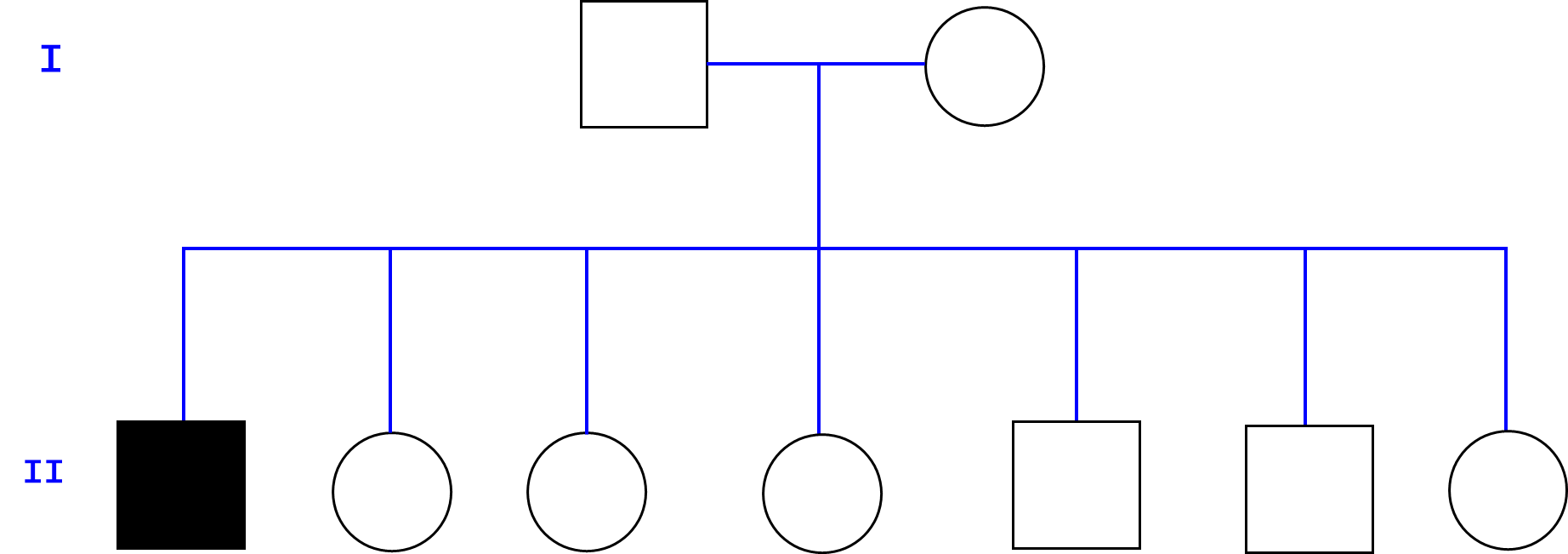 Identify which of the following pedigrees correctly demonstrates