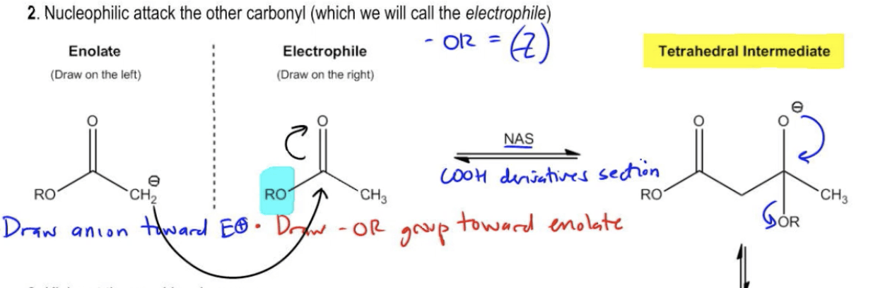 Claisen Condensation Organic Chemistry Video Clutch Prep