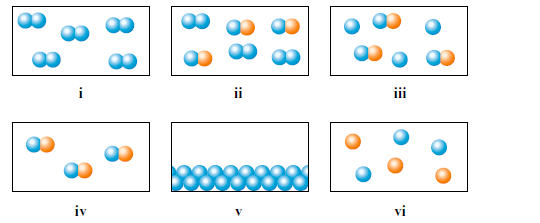 Match each description below with the following micro...