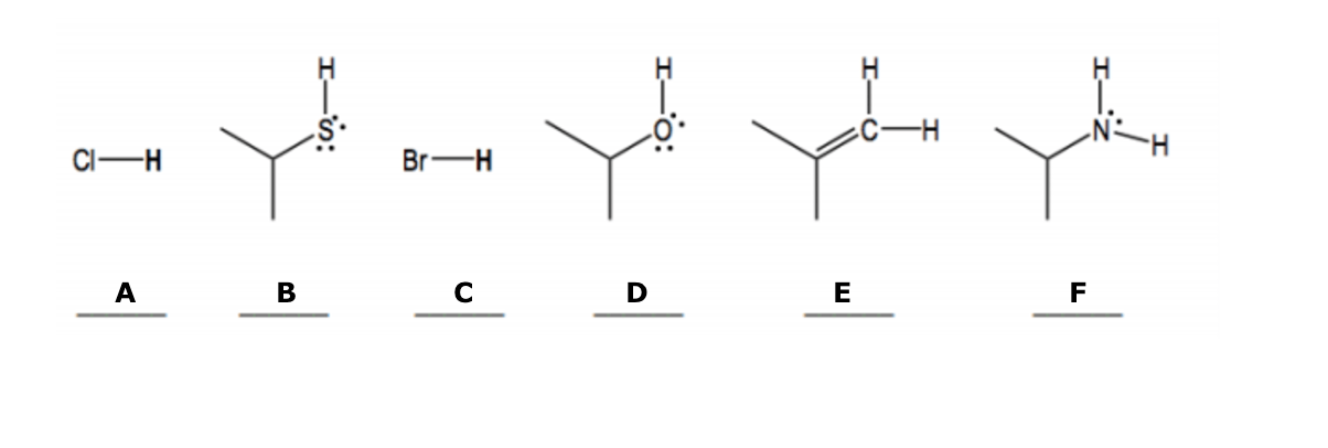 Solution Rank the following molecules in... Organic Chem