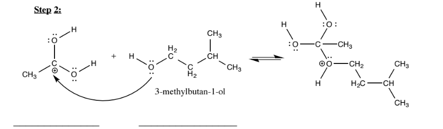 Answer The second step in a synthesis of Clutch Prep