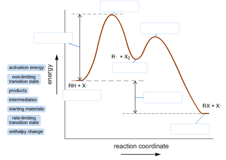 28 Label The Following Reaction Energy Diagram For A Catalyzed And An