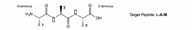 Amino Acid Chart Organic Chemistry Video Clutch Prep