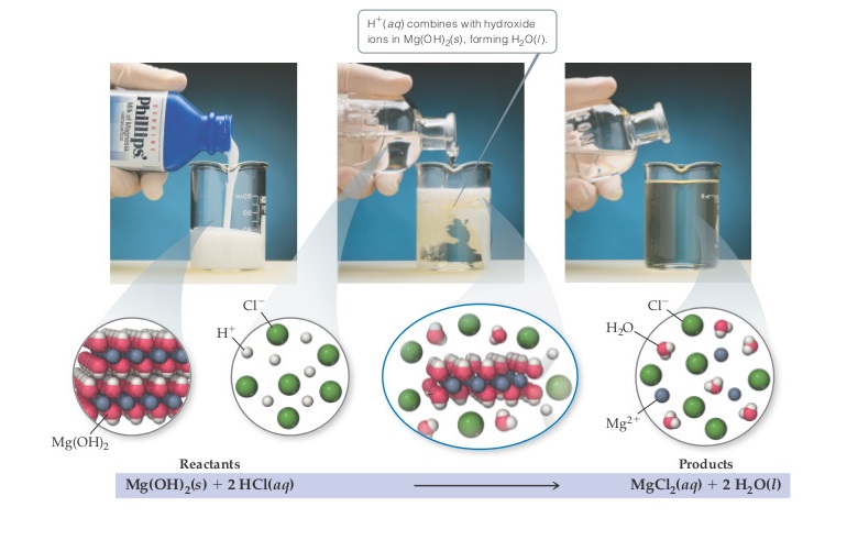 Neutralization reaction between Mg(OH)2(s)... Clutch Prep
