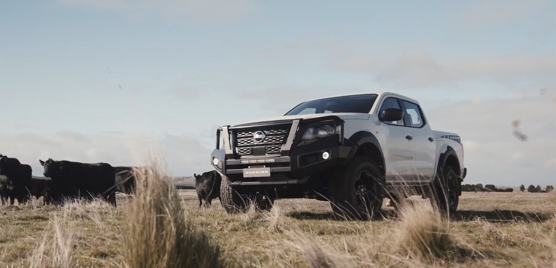 Nissan Navara SL WARRIOR For Sale Rockingham, WA Nissan Navara SL