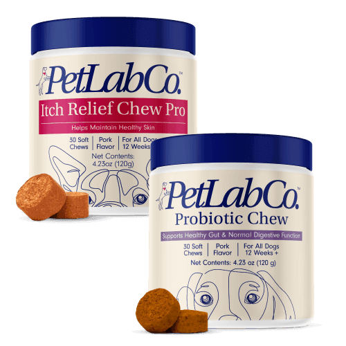 Dog Itchy Skin Bundle Probiotic & Itch Relief Pro Supplements