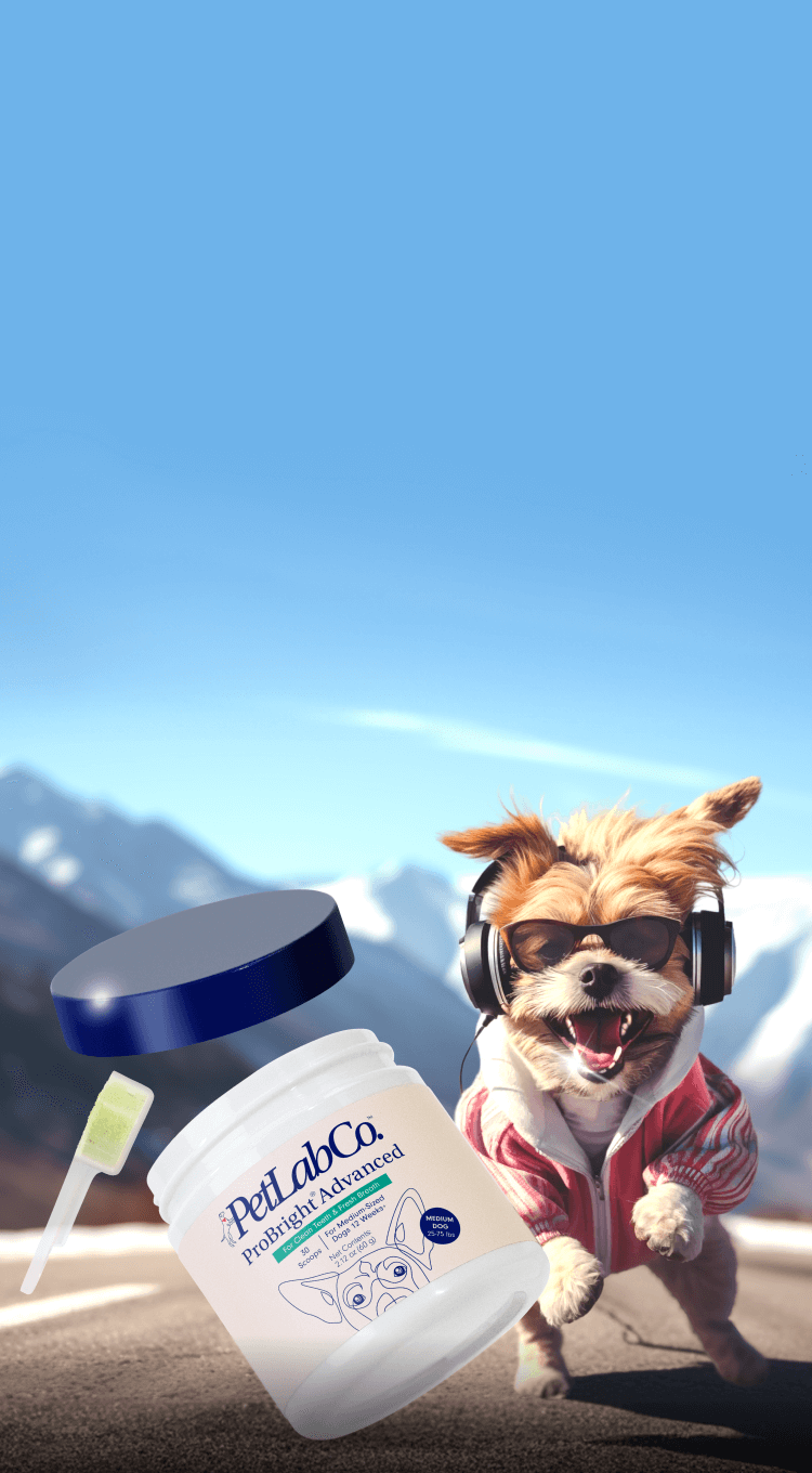 PetLab Co. Supplies, Treats, Snacks & Chews Join The Pack