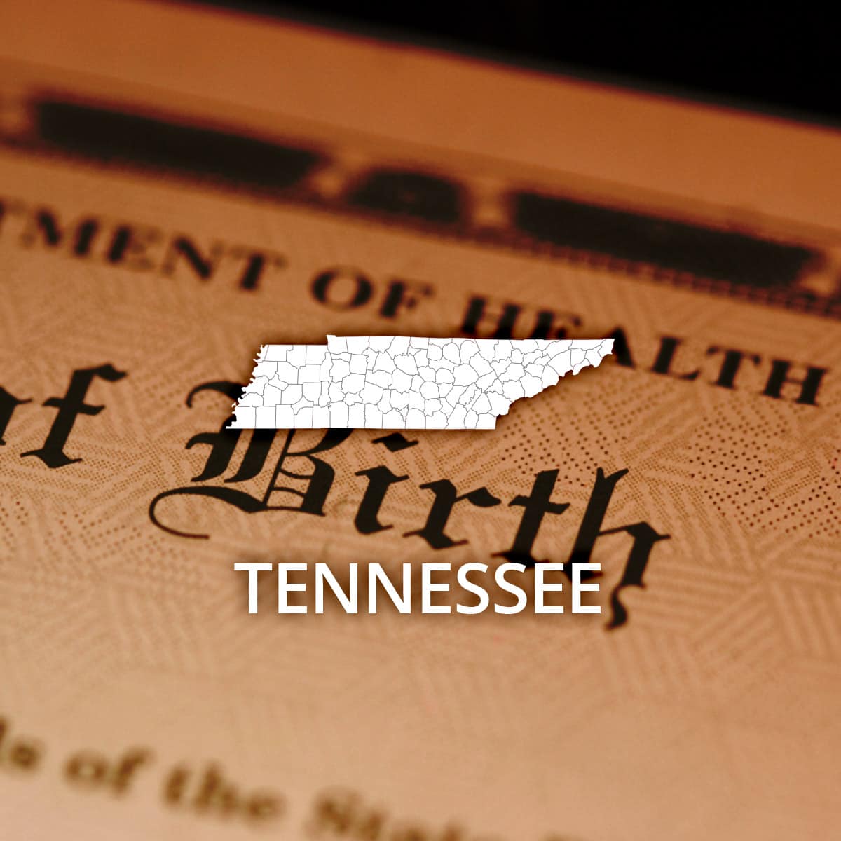 How To Obtain Divorce Papers Collaborative Practice Toronto