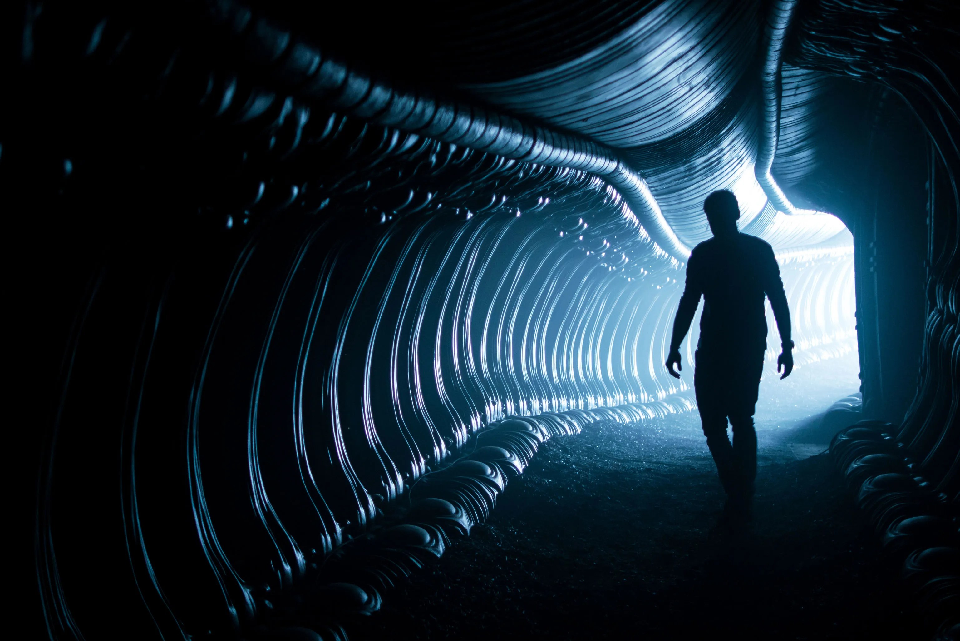 Alien Covenant 70+ Things to Know about Ridley Scott's Sequel Collider