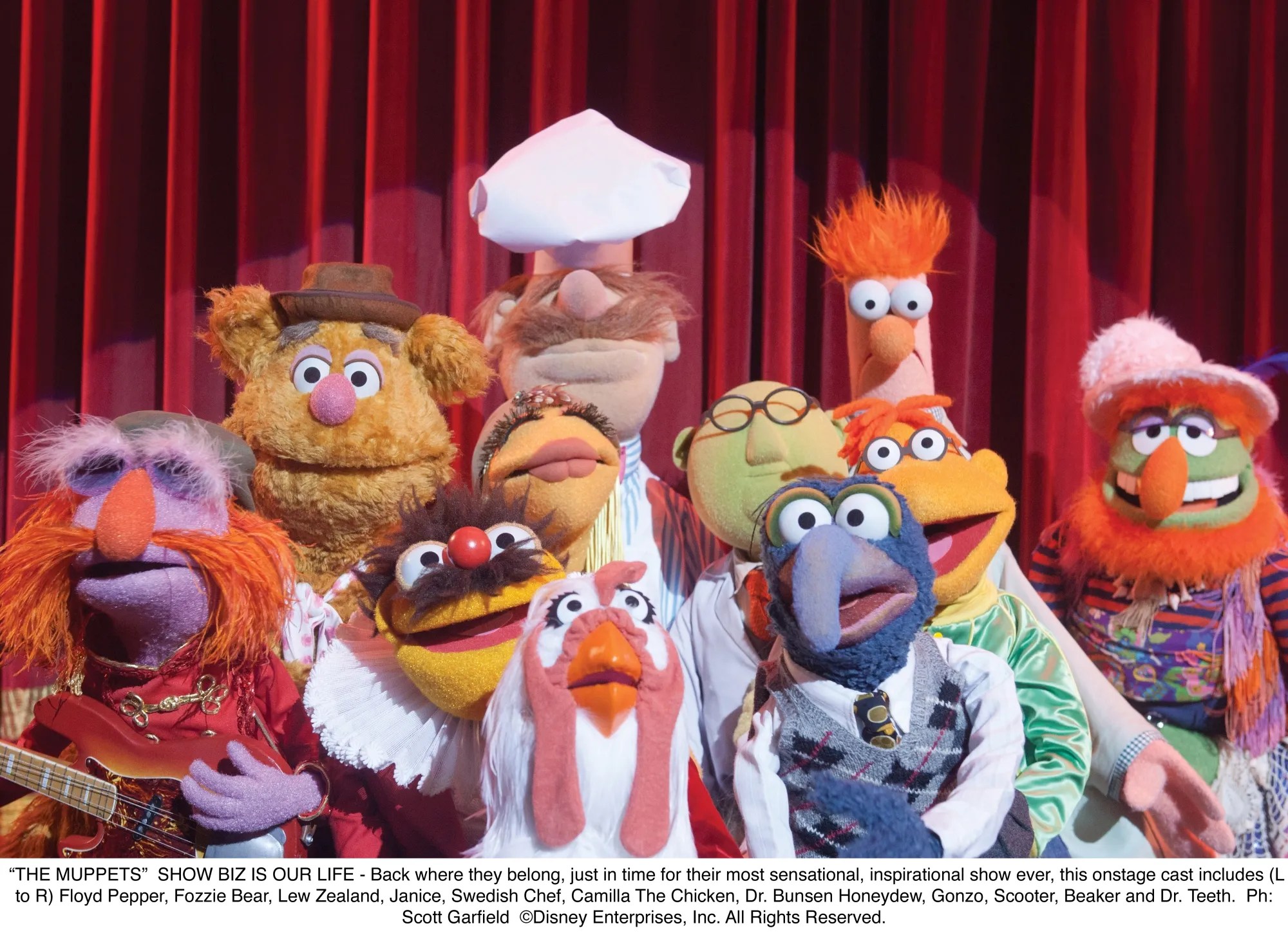 Images, Character Descriptions, and Fun Facts for THE MUPPETS Collider