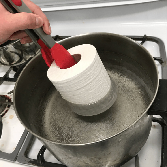 Growing Oyster Mushrooms on Toilet Paper, Blog Field & Forest Products