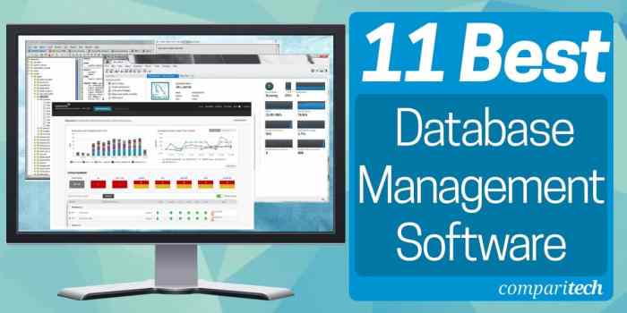 Database Software