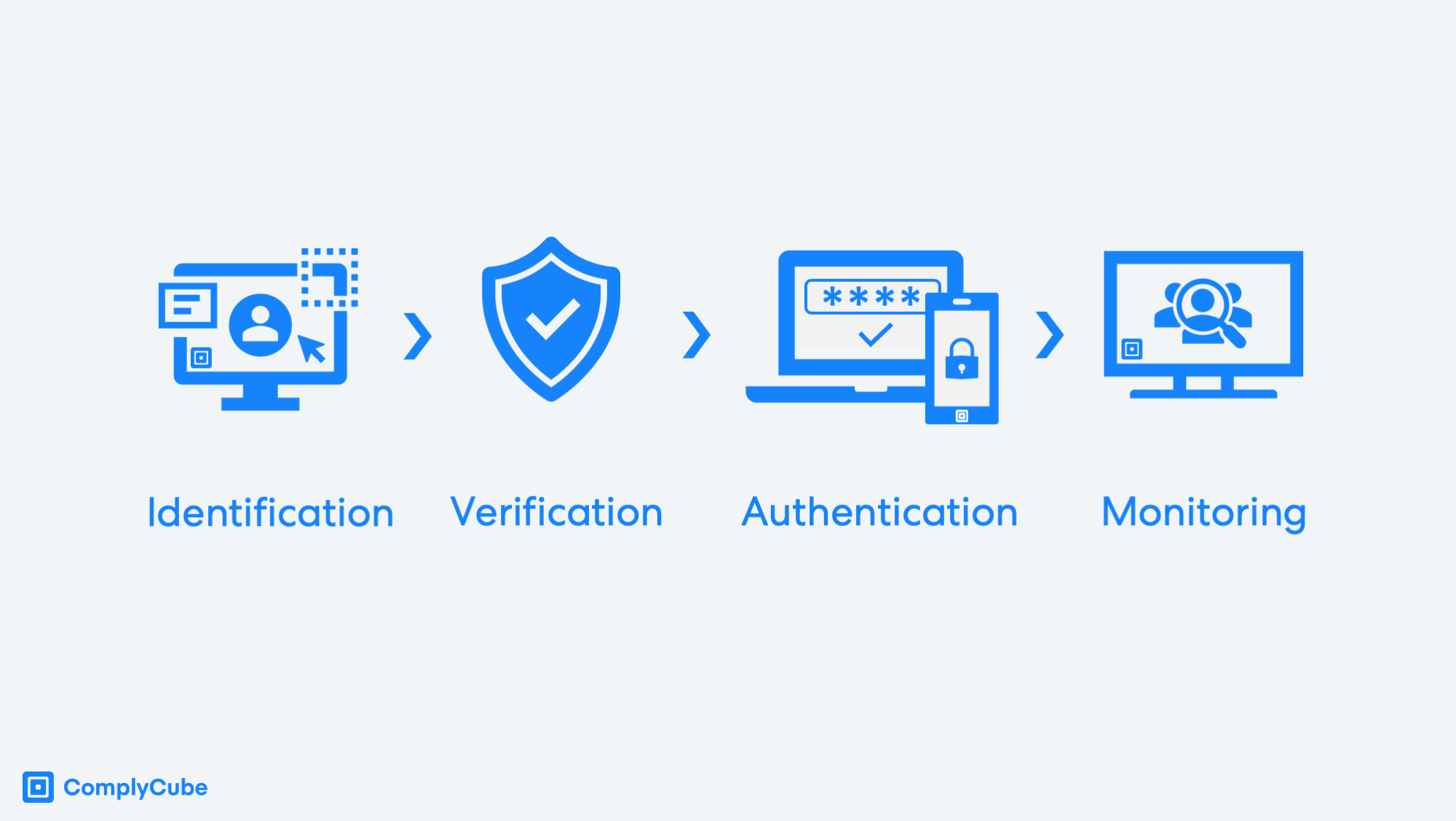 Robust Identity Verification The Essentials Guide