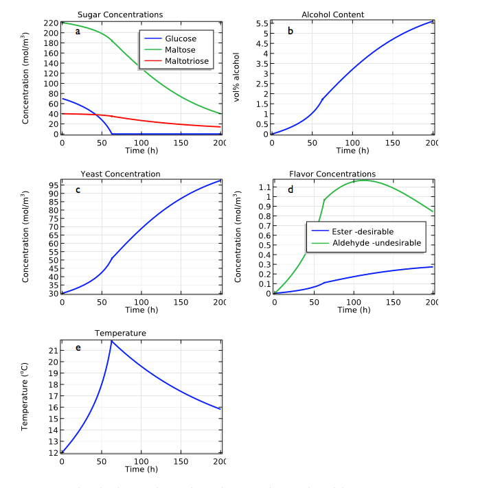 Beer Fermentation Diagram