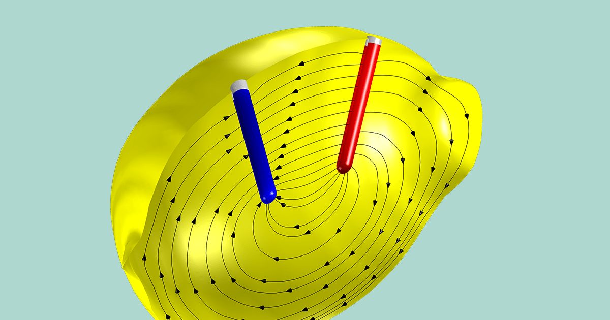 Approaching an Electrochemical Model from Scratch Lemon Battery