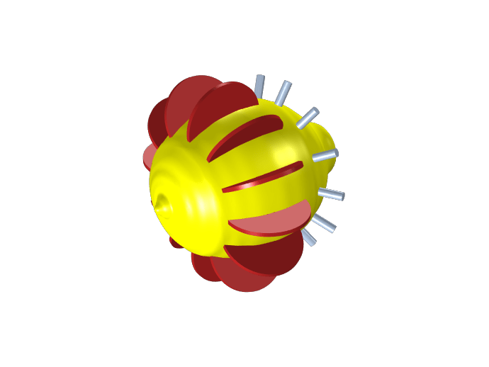 Approaching an Electrochemical Model from Scratch Lemon Battery