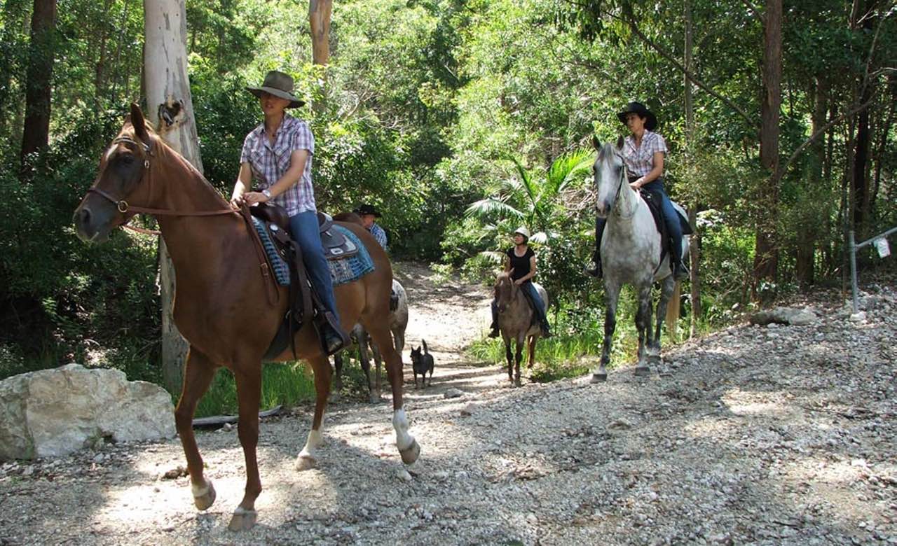 The Five Best Places to Go Horse Riding Near Brisbane Concrete