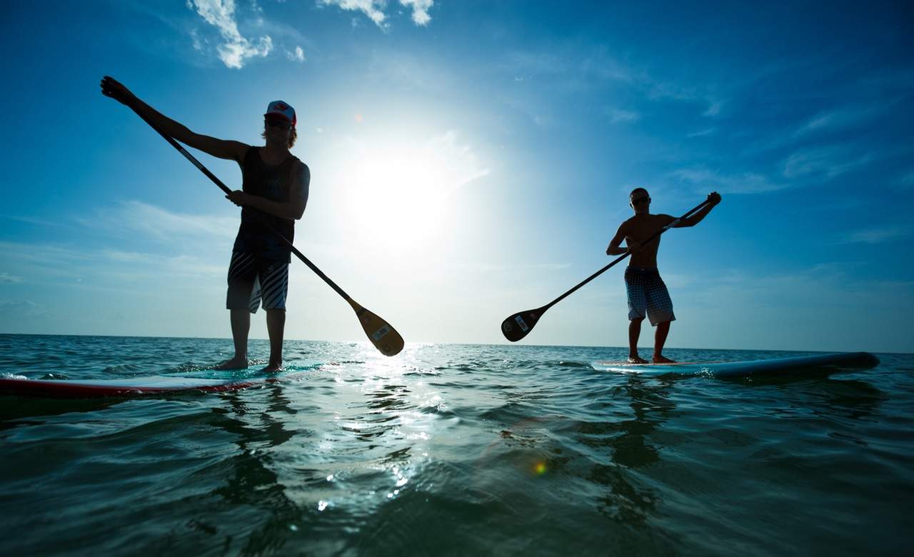 Stand Up Paddle Boards Manly Sydney at Frank Proctor blog
