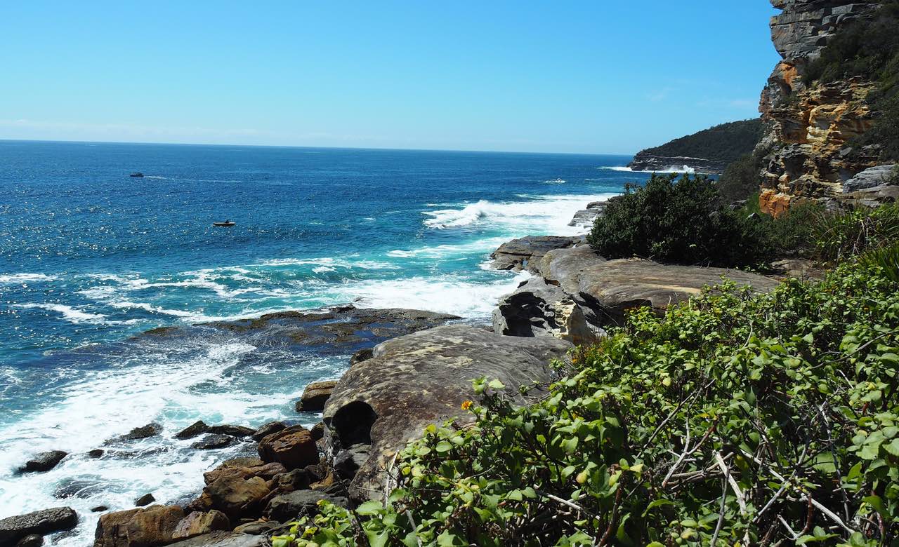 A Weekender's Guide to Manly Concrete Playground