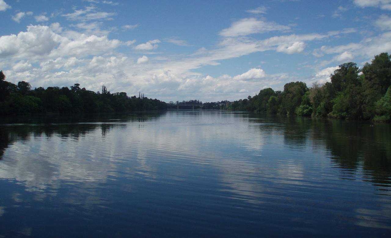 The Ten Best Rivers For Swimming In Near Sydney Concrete Playground