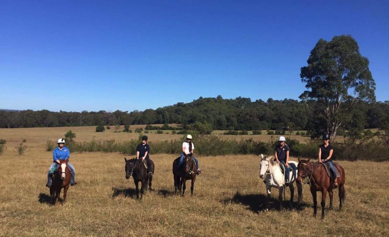 The Ten Best Places to Go Horse Riding Near Sydney Concrete Playground