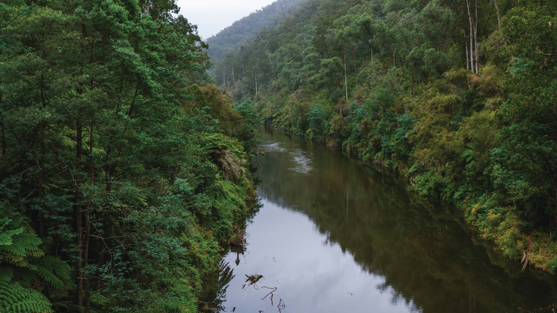 Five Epic MultiDay Hikes to Conquer Near Melbourne Concrete