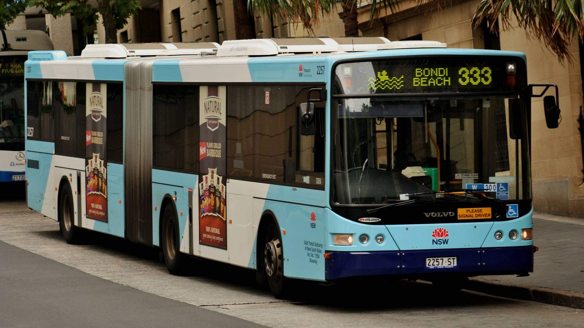 A Heap of New Bondi BeachtoCity Bus Services Have Been Added to the Timetable Concrete