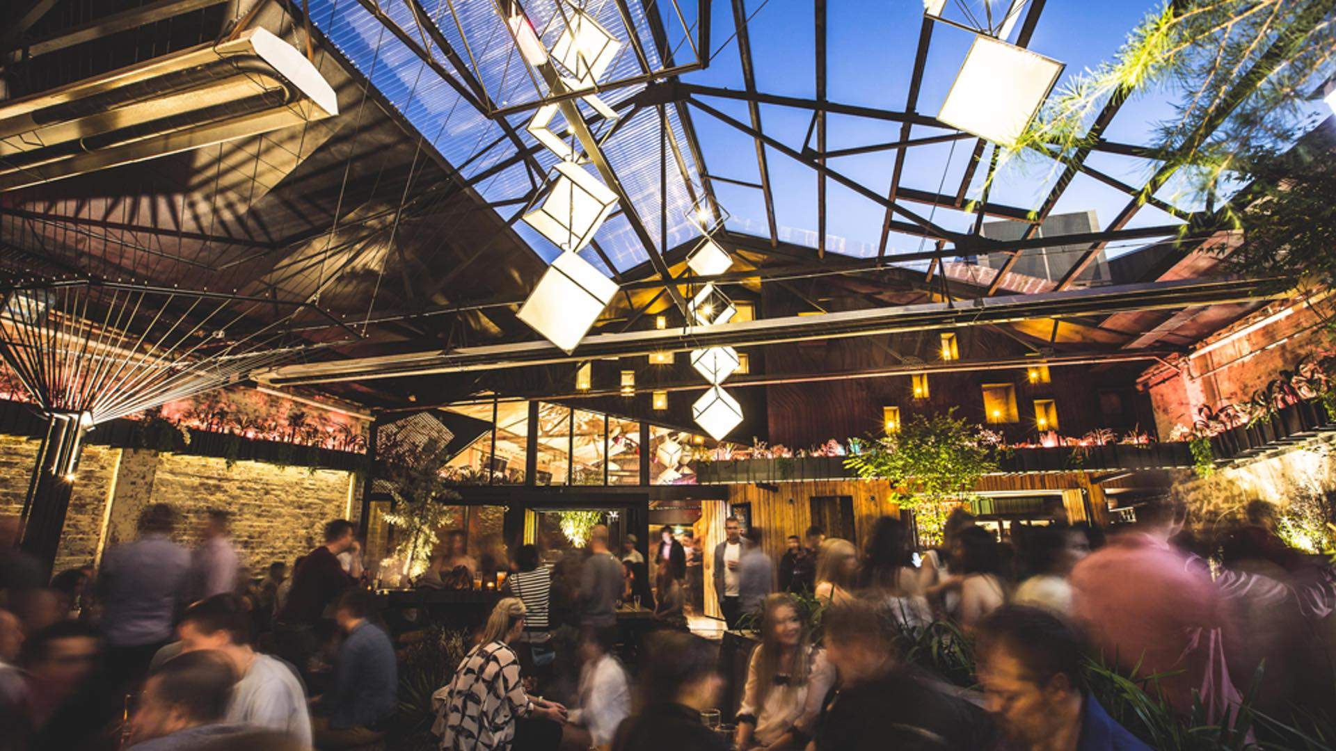 The Best Bars in Brunswick Concrete Playground