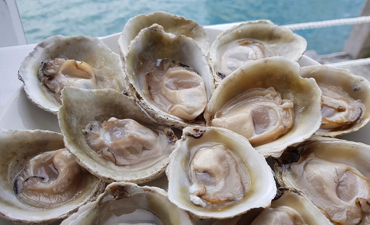Five Ways to Celebrate the Start of Bluff Oyster Season in Wellington