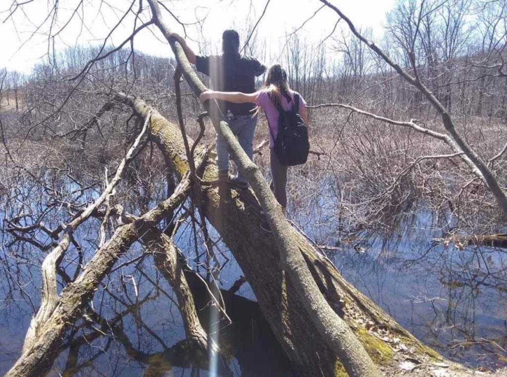 Nature Hike Michigan Inspired Consumers Credit Union