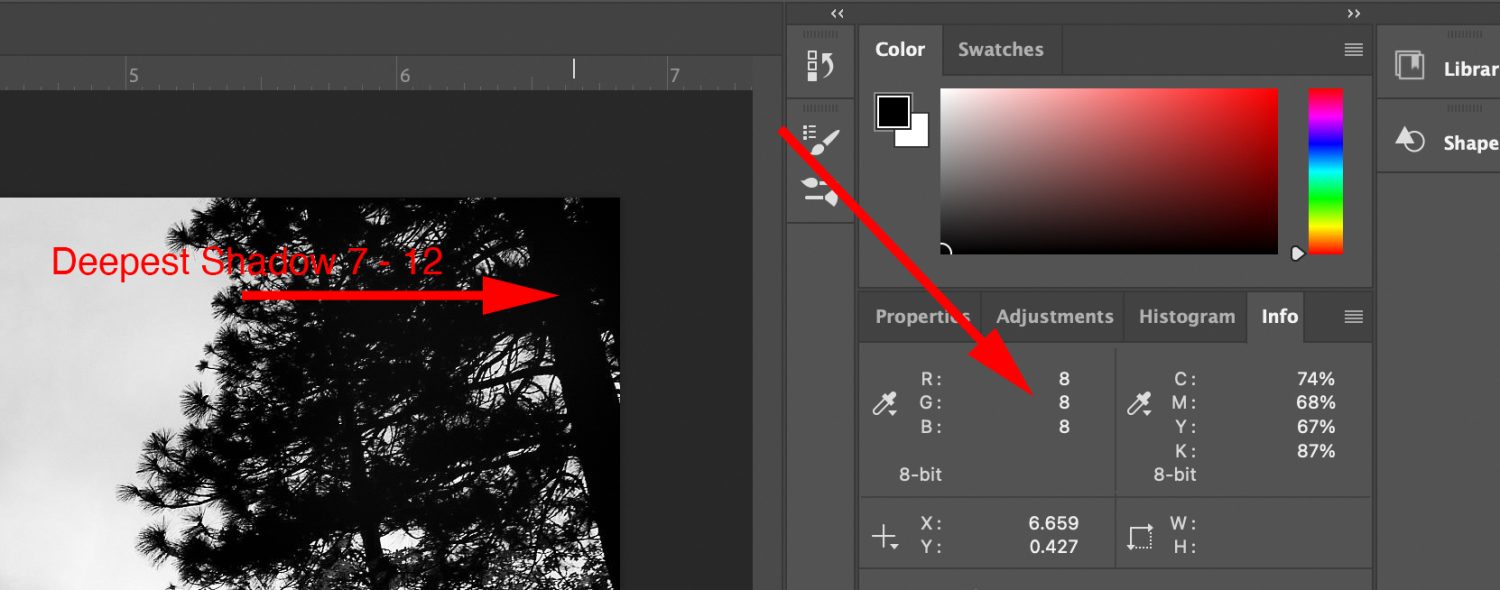 The Importance of Contrast and Tone in Black and White Photography