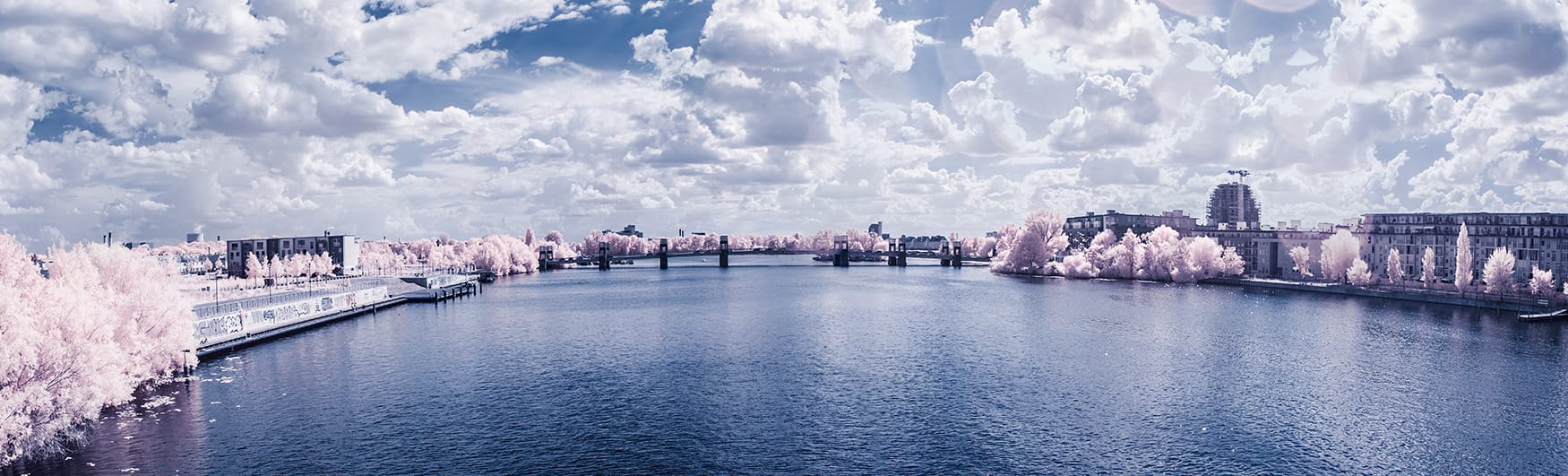 An Introduction to the Amazing World of FullSpectrum Photography Contrastly