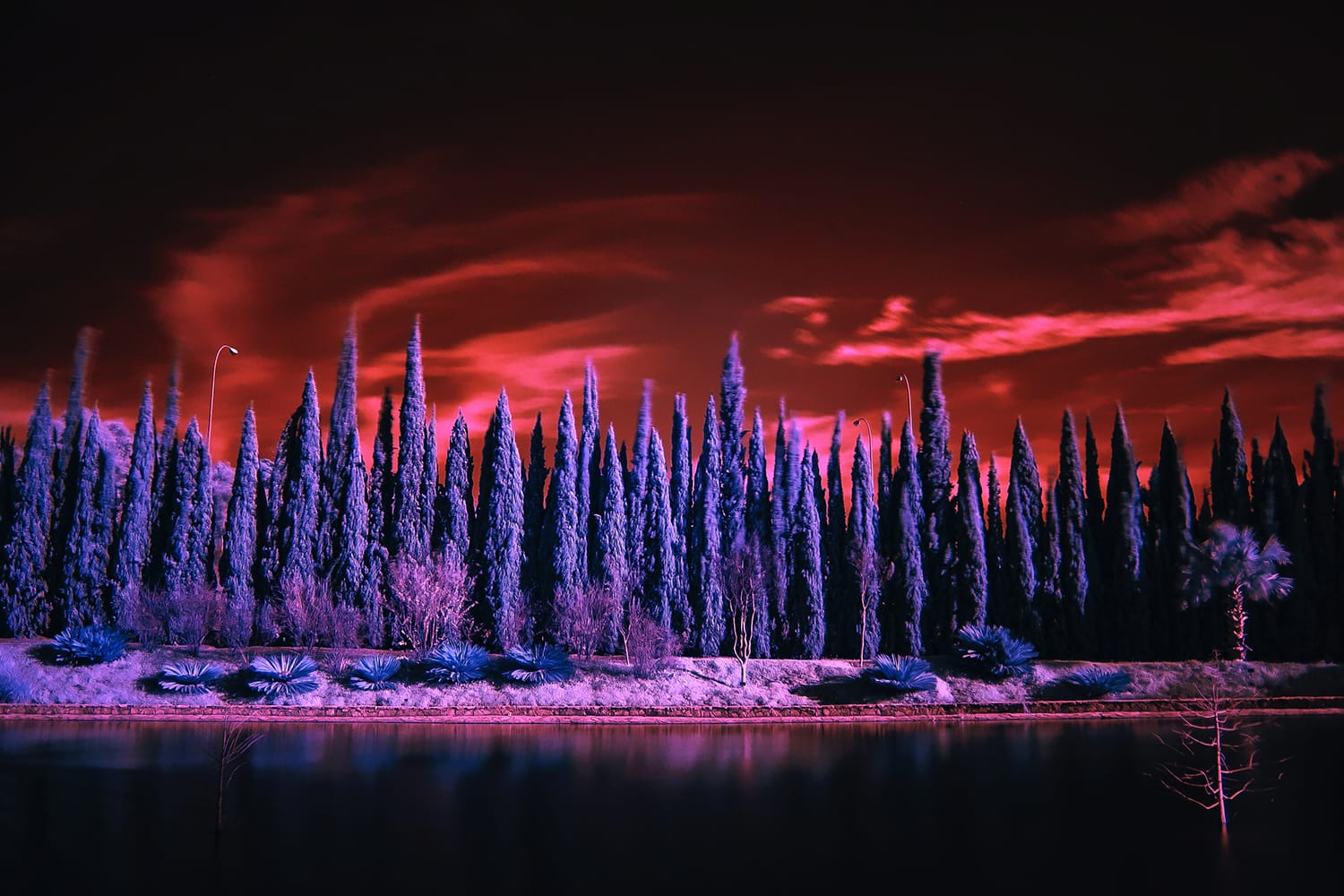 An Introduction to the Amazing World of FullSpectrum Photography