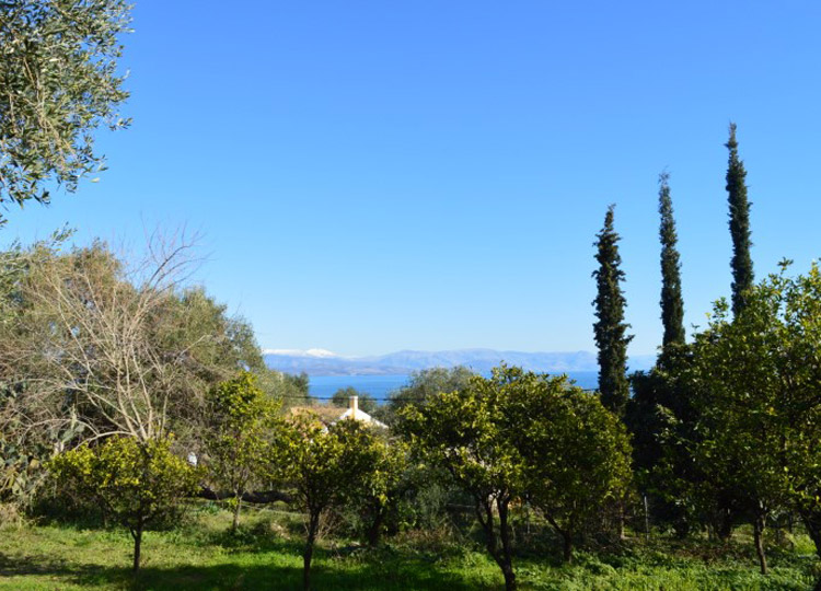 Property For Sale, Real Estate in Corfu Corfu Property