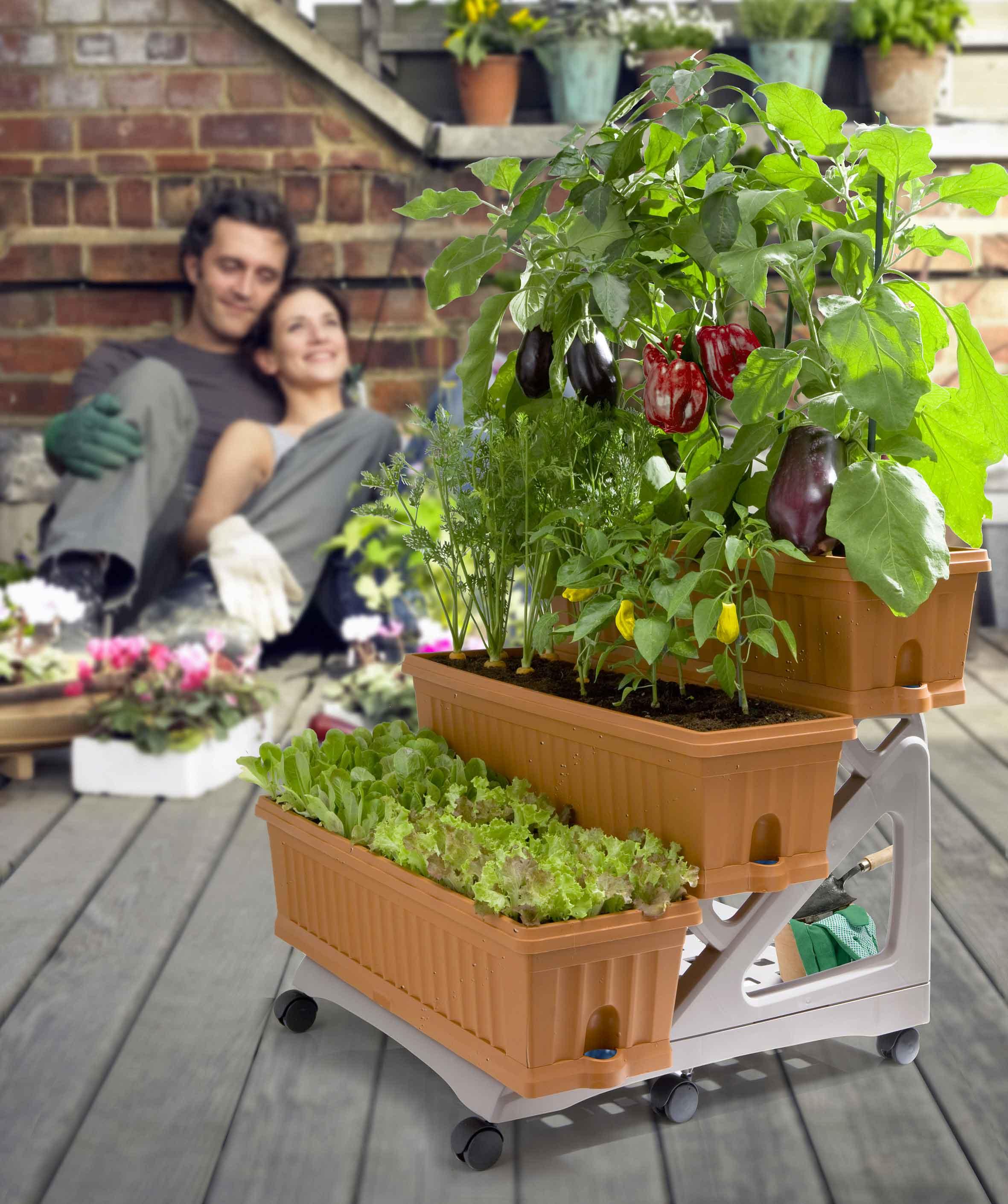 Orto di Bama, per coltivare in poco spazio Cose di Casa