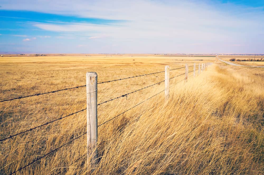 Wyoming Department of Health warns of tickrelated disease County 10