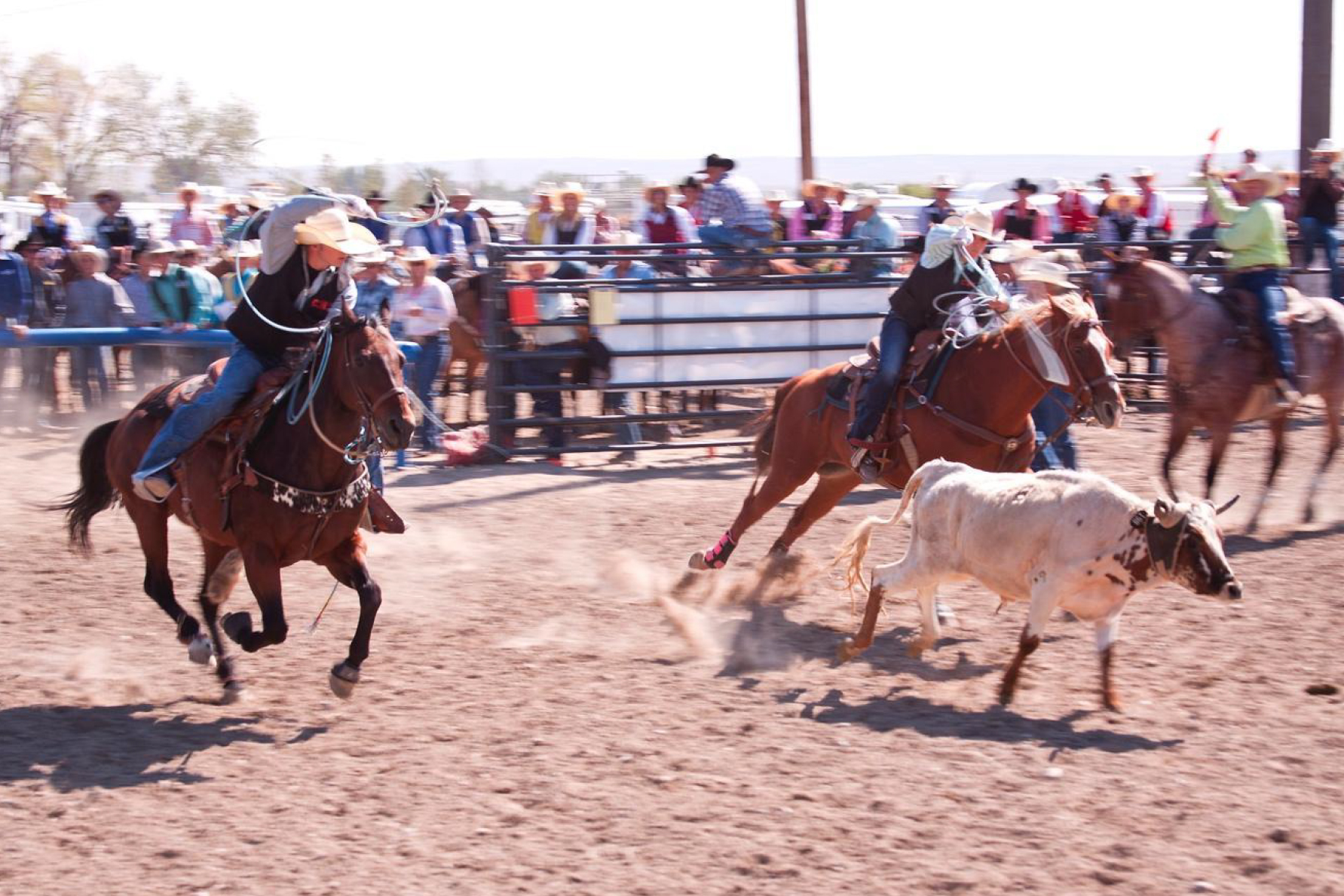 Pioneer Days Rodeo registration this Saturday County 10