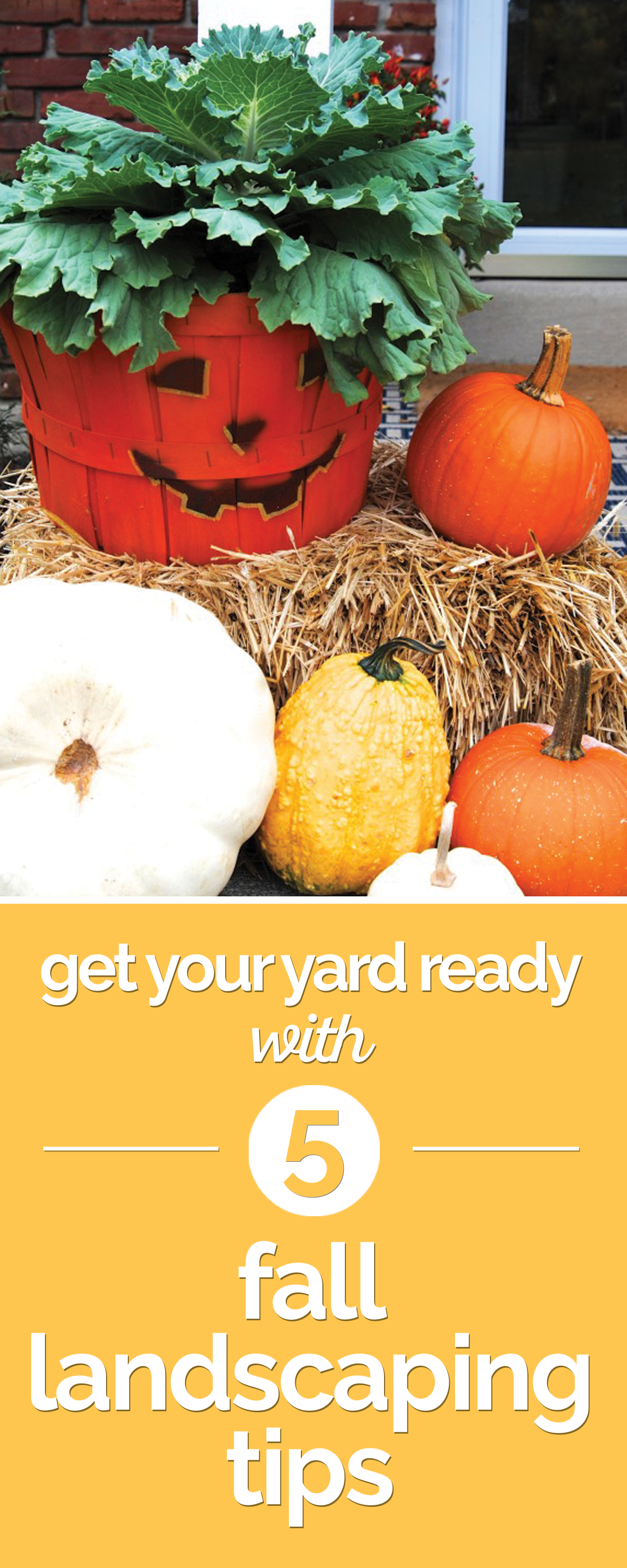 Get Your Yard Ready with 8 Fall Landscaping Tips thegoodstuff