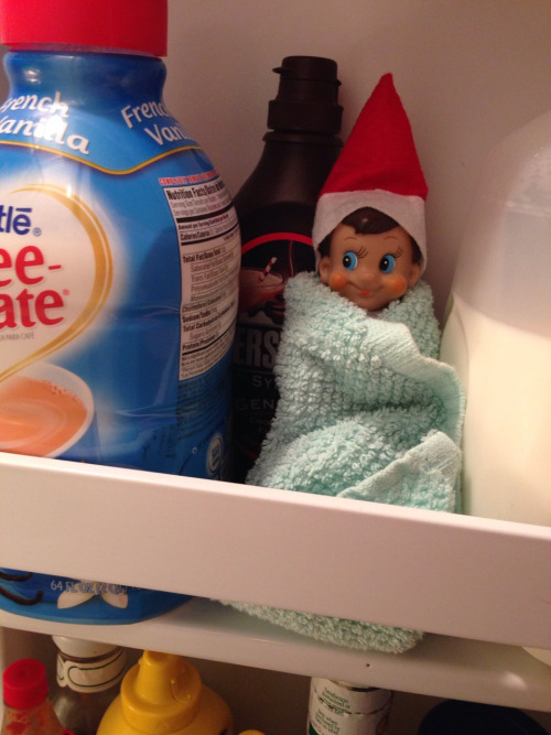30 Funny & Easy Elf on the Shelf Ideas! thegoodstuff