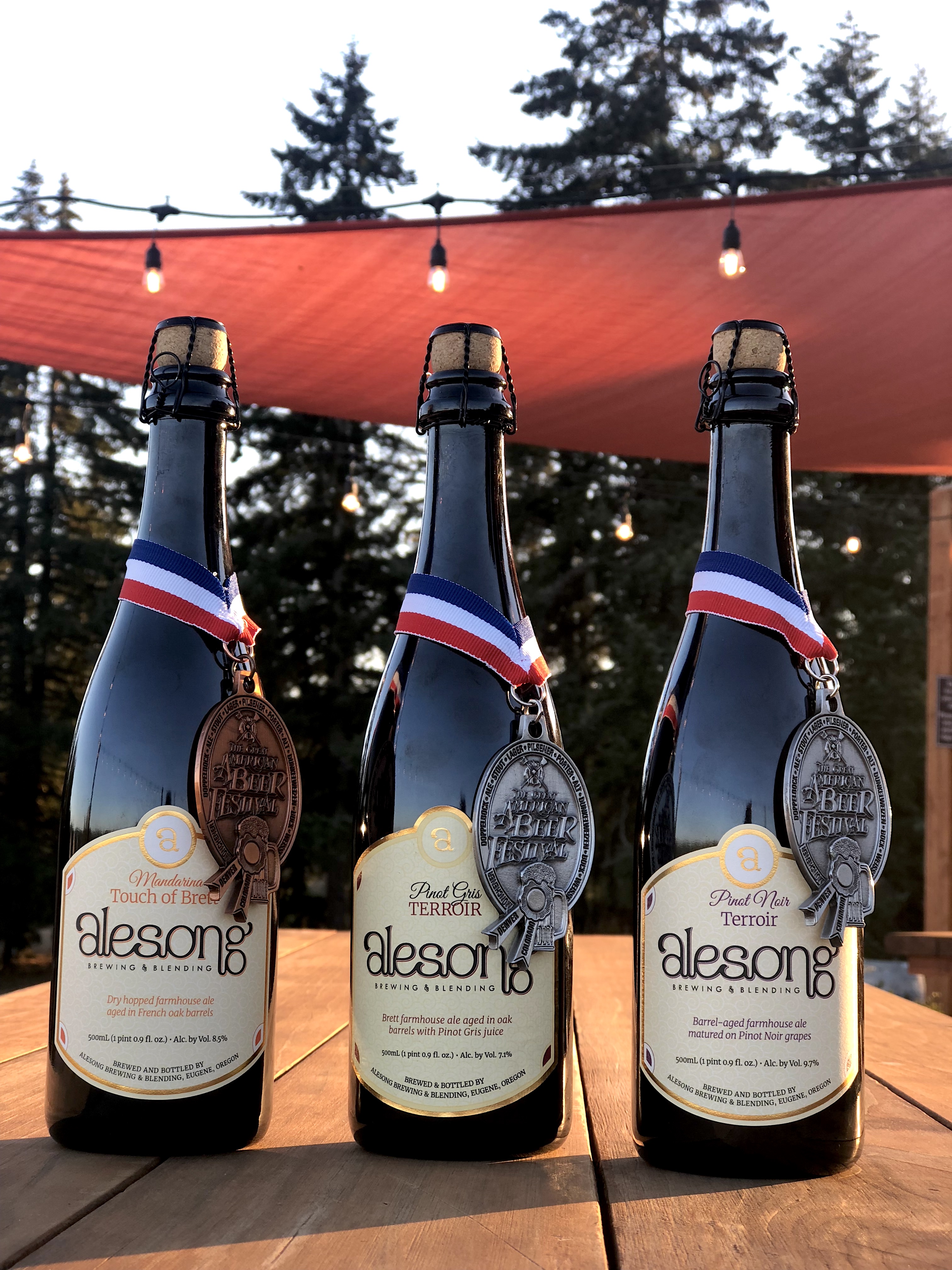 Alesong Brewing Wins 3 Medals at the Great American Beer Festival®