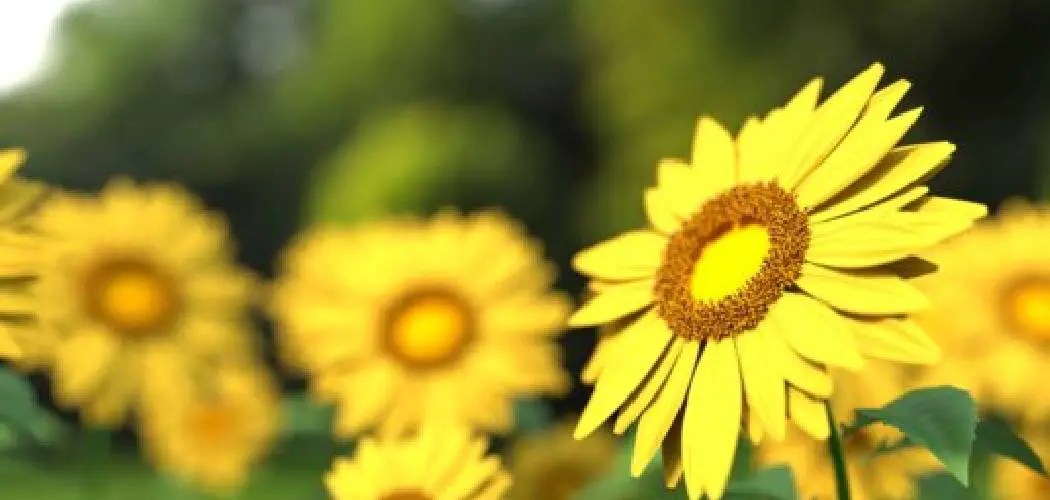 How to Keep Pollen Off Patio Furniture Craftsmumship