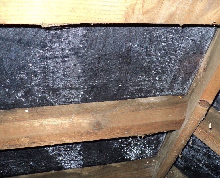 Defeating Condensation A Comprehensive Guide to Eliminating Patio Roof Condensation Craftsmumship