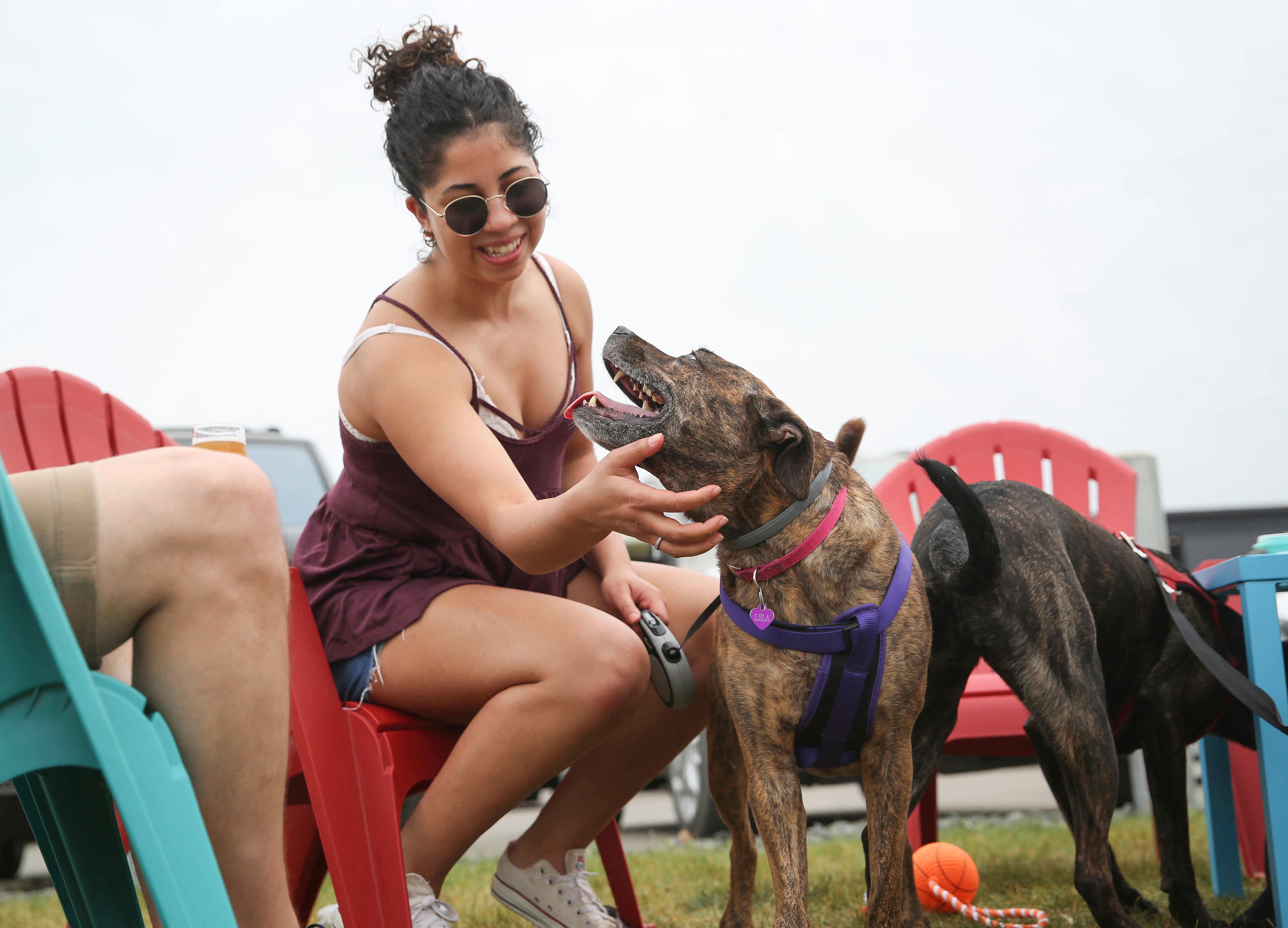 Are Dogs Allowed on Restaurant Patios? Craftsmumship